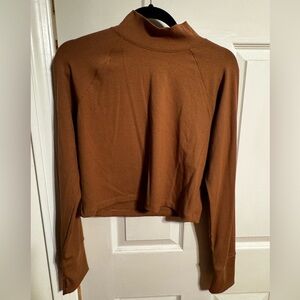 NWT OFFLINE by Aerie Cropped Turtleneck
